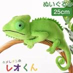  чай Estee - advance хамелеон. Leo kun 6294 GREEN