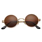 Pro Acme retro маленький раунд поляризованный свет солнцезащитные очки для мужчин и женщин, C6 Gold рама / Brown линзы, M