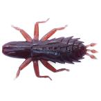 Berkley ( Burke re-)jago Rocket 3 дюймовый s Kappa non PBMJR3-SCP черный автобус Kim талон дизайн 