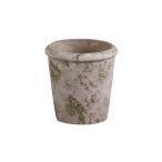 abite(Habiter) горшок Moss чай k* KONI k pot *L 16x16x17cm GOA-009-AA