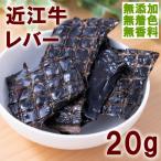 【メール便】WANタイム