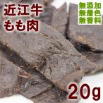 【メール便】WANタイム