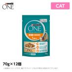 ԥʥ å Ǣϩη򹯰ݻ 1аʾ  졼ӡΩ 70g12