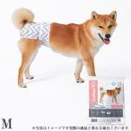 M-PETS... для девочки Homme tsuWASHABLE M