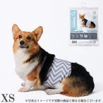 M-PETS... для мальчика Homme tsuWASHABLE XS