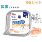 [9 шт. комплект ] Forza 10 кошка Acty мокрый lina-ru(.. поддержка ) Ram шпаклевка модель 100g