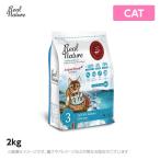 リアルネイチャー ホリスティックキャットフード N0.3オーシャンサーモン【被毛と皮膚ケア】2kg （猫用 プレミアムフード）