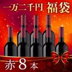 ワイン ワインセット 赤ワイン 【一万二千円福袋】赤8本
