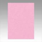 A-4954022642341 リンテック ニューカラー４切１００枚　ときいろ