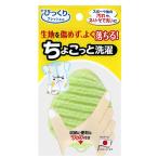 Li4973381092031 SANKO びっくりフレッシュ ちょこっと洗濯 BO-82 グリーン 洗濯クリーナー