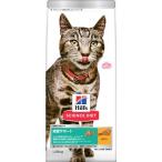 猫用ドライフード