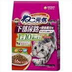 猫用ドライフード
