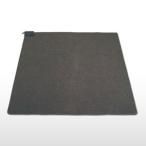 TWA-4000B TEKNOS ¥Æ¥¯¥Î¥¹ 195¡ß290cm ¥Û¥Ã¥È¥«¡¼¥Ú¥Ã¥È 4¾öÍÑËÜÂÎ