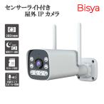 【高画質・防水】Bisya 夜間対応 屋外設置 300万画素 防犯カメラ AI動体検知 長期間録画 玄関/駐車場/庭 BJC-B3201