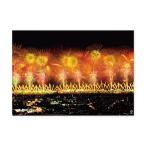 ショッピング花火 長岡花火　プレミアムポスター B2　復興祈願花火フェニックス　写真　アート　オフィシャルグッズ　