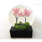 スノードーム Cool Snow Globe Spring クール スノー グローブ スプリング