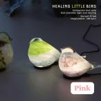  исцеление little bird Healing Little Bird PINK розовый маленькая птица лампа led внутренний свет интерьер узор смешанные товары 