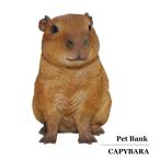 Jso u  ybgoN Jso Pet Bank Capybara