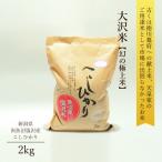 新米 令和7年産 米 2kg 