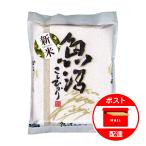 令和5年産 米 1kg こしひかり 越後湯