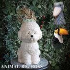 ショッピングアンティーク (ポイント2倍)( Animal Big Boss ハシビロコウ ) グローバル アロー フラワーベース 花瓶 動物 アニマル インテリア アンティーク