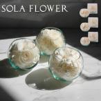 ( отметка 10 раз )( Sola Flowersola цветок solalium аромат имеется ) Sanwa trailing ароматическая смесь интерьер аромат аромат цветок натуральный Северная Европа 
