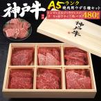 神戸牛 焼肉セット 牛肉 480g 3~4人前 A5ランク神戸牛 国産黒毛和牛 6種食べ比べセット お取り寄せ グルメ  お中元 お歳暮 ギフト 熨斗 冷凍便