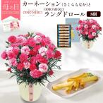 母の日 ギフト 2026 カーネーション さくらもなか 鉢植え OIMO MERCI ラングドロール セット 花とスイーツ お菓子 5/6〜10お届け