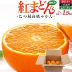 紅まどんな 超訳あり 約1〜1.5kg 家庭用 傷 訳アリ ふぞろい 愛媛県産 約6〜8玉 みかん 果物 国産 フルーツ お得 わけあり