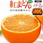 紅まどんな 訳あり L〜5L 約1.8〜2kg 家庭用 愛媛県産 約5〜10玉 みかん 果物 国産 フルーツ お得 わけあり