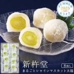 お中元 2025 ギフト 和菓子 新杵堂 ま