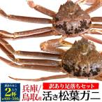 松葉ガニ 活き ズワイガニ 姿 二杯セット 400〜500g×2 訳あり お取り寄せ グルメ 国産  ...