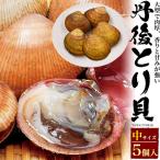 とり貝 刺身 丹後とり貝 中（約130g）×5個 トリガイ 生 殻つき 活き 生食 産地直送 通販 宮津 京都 国産 海鮮 お取り寄せ 冷蔵便