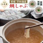  Ehime . мир море производство морской лещ ... подлинный морской лещ комплект кастрюля кулинария pon уксус есть морепродукты подарок подарок .. для ваш заказ гурман еда еда 