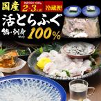 ふぐ刺し ふぐ鍋セット とらふぐ 生 冷蔵 2〜3人前 テッサ 刺身 フグ てっちりセット トラフグ ギフト 国産 お取り寄せ 贈り物