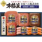 お歳暮 ハムギフト 日本ハム 本格派ギフト NH-319 ギフト 2025 ハム ウインナー ソーセージ 詰め合わせ 贈答用 贈り物 冷蔵 爆買