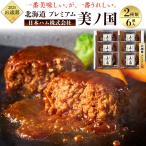 お歳暮 ハンバーグギフト 日本ハム 北海道 プレミアム 美ノ国 UKH-HB ギフト 2025 ハンバーグステーキ 贈答用 贈り物 冷凍