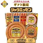 お歳暮 ギフト 日本ハム ギフト限定 シャウエッセンセット 40周年記念 SEG-500 2025 ウインナー ソーセージ 詰め合わせ 贈答用 贈り物 冷蔵 爆買