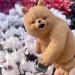 ( отсутствует ). рисовое поле магазин промышленность resin dado Bear - полив 3349