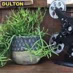 [ негодный ]DULTON geo me Trick pot раунд B M серый ( номер товара :A665-851MGY) Dulton in пыль настоящий american Vintage мужчина передний 