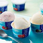 ショッピングお中元 アイス 天然水で作ったアイス 計12個(3種各4個)  お中元 お歳暮 母の日 父の日 内祝 ギフト シイレル