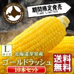 とうもろこし 北海道 芽室産 ゴールドラッシュ 10本 セット「8月末から順次発送」送料無料 産地直送 とうきび 甘い なまら十勝野 朝採り直送 プレゼント 復興