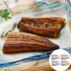 うなぎ蒲焼 静岡焼きうなぎ 120g×8 静岡  お中元 お歳暮 母の日 父の日 内祝 プレゼント ギフト シイレル