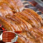 宮崎県産うなぎ蒲焼 生産者限定  お中元 お歳暮 母の日 父の日 内祝 プレゼント ギフト シイレル