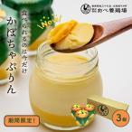  наш магазин ограничение время ограничено сейчас только пудинг конфеты подарок тыква . rin 3 шт. комплект пудинг тыква ограничение ... курица место 