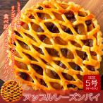  кошка pohs отгрузка влажный пирог ткань × яблоко p кожа b× изюм! Apple изюм пирог 5 номер кондитерские изделия конфеты рынок 