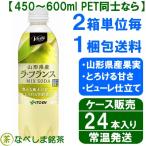 【11月新商品・新登場】◆伊藤園　Vivit’s 山形県産 ラ・フランス MIX SODA　PET　450ml×24本◆【炭酸飲料】【ミックス ソーダ】