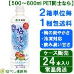 【新商品】【4月9日より発送開始】　◆伊藤園 日本の果実　梅涼み 500ml PET×24本◆　【ケース販売】【送料別途】