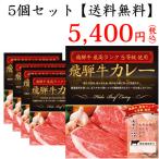 【送料無料】　◆飛騨牛最高ランク5等級使用飛騨牛カレー 200g×5個◆