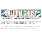 SOLDUM GOHST 601 HISHIMO/hisimosoru dam призрак внутренний производство blank s принятие solid удилище 